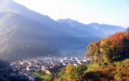 拿什么拯救農(nóng)村環(huán)境污染？