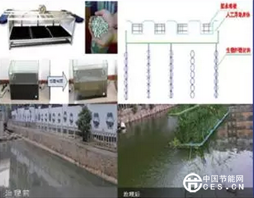 生態(tài)浮島治理效果對比圖