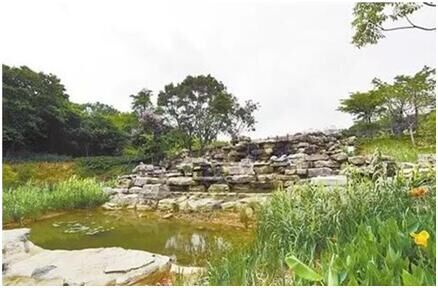 建設(shè)海綿城市，看各地如何各顯神通