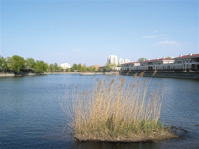 昌平一湖泊遭建筑垃圾回填開發(fā)商被求償950萬