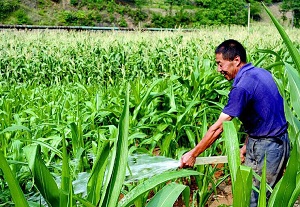 QQ截圖20160419094111