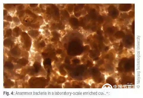 新加坡水創(chuàng)新系列一:邁向能量自給