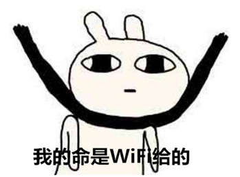 “提速降費”真正落實之日既是WiFi終結之時