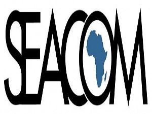 南非Seacom進(jìn)軍企業(yè)市場 開拓互連及云服務(wù)