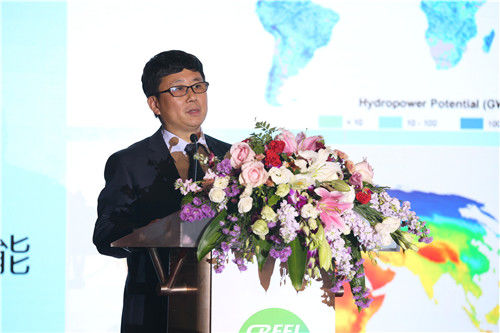 水電水利規(guī)劃設計總院院長鄭聲安發(fā)言