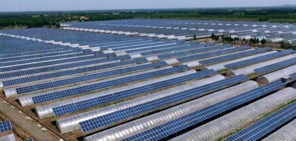 120MW光伏發(fā)電項目奠基 造血式扶貧助農(nóng)民增收