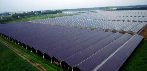 120MW光伏發(fā)電項目奠基 造血式扶貧助農(nóng)民增收