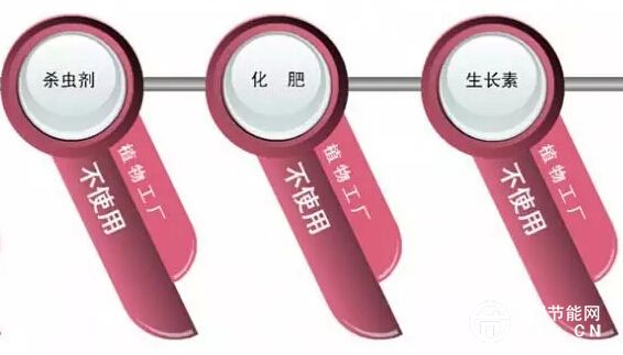 LED照明與植物工廠的那些事