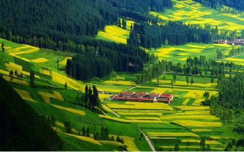 【理上網(wǎng)來 喜迎十九大】秉持生態(tài)文明理念，大力推進綠色發(fā)展