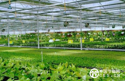 物聯(lián)網(wǎng)+農(nóng)業(yè)：“三農(nóng)”問題智慧化轉(zhuǎn)型